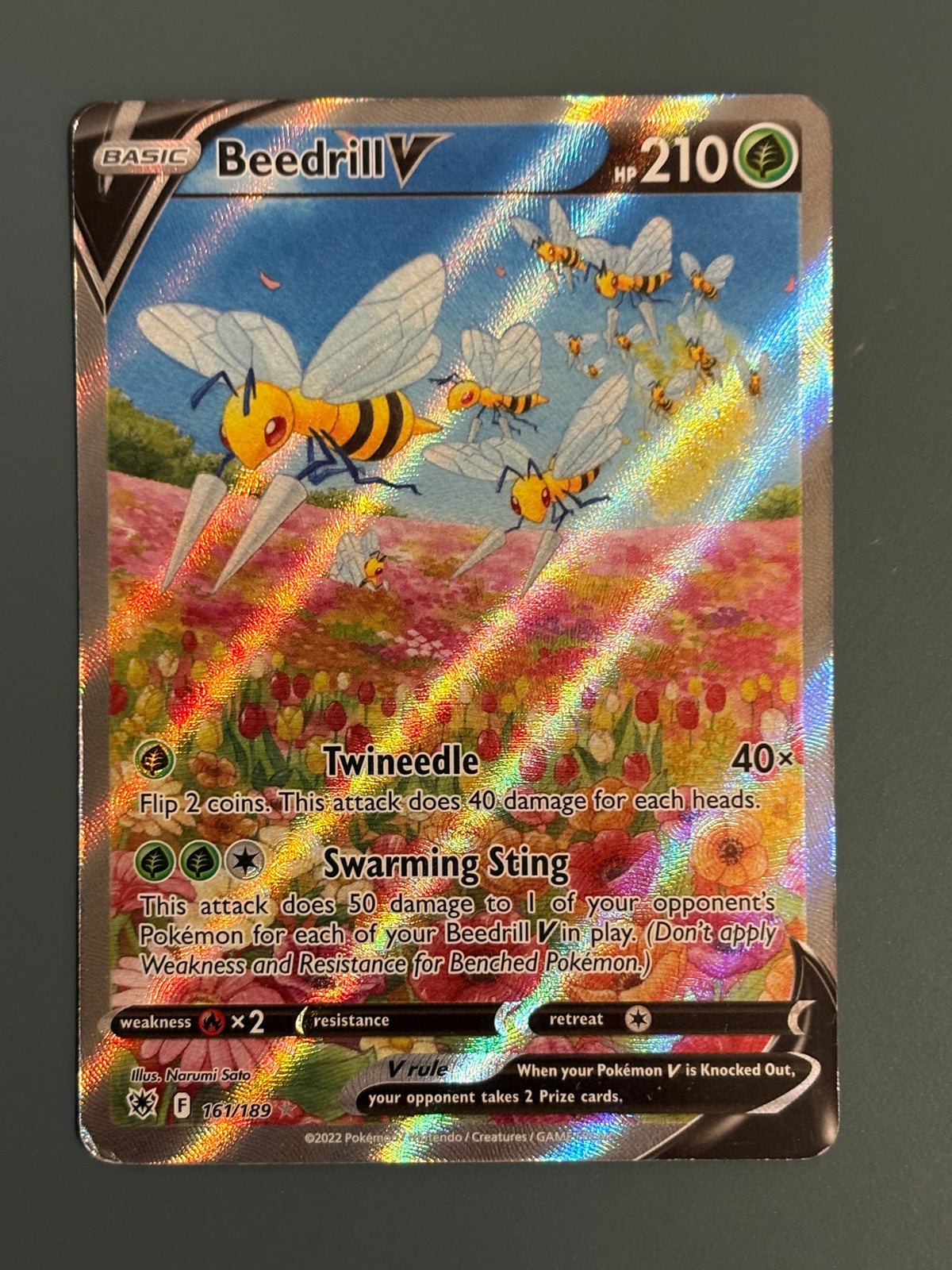 Beedrill - ASC - Eng