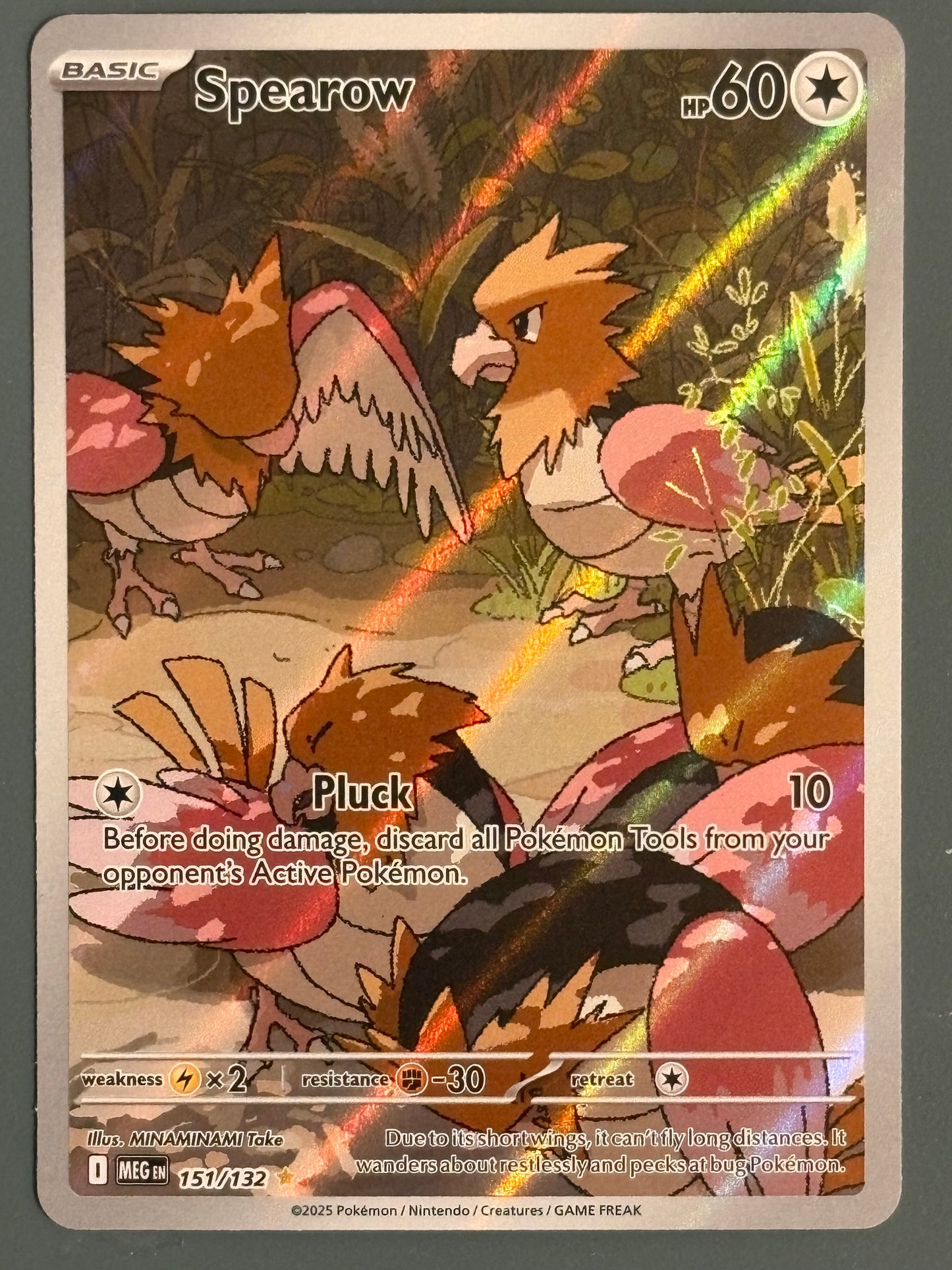 Spearow 151 - MEG - ENG