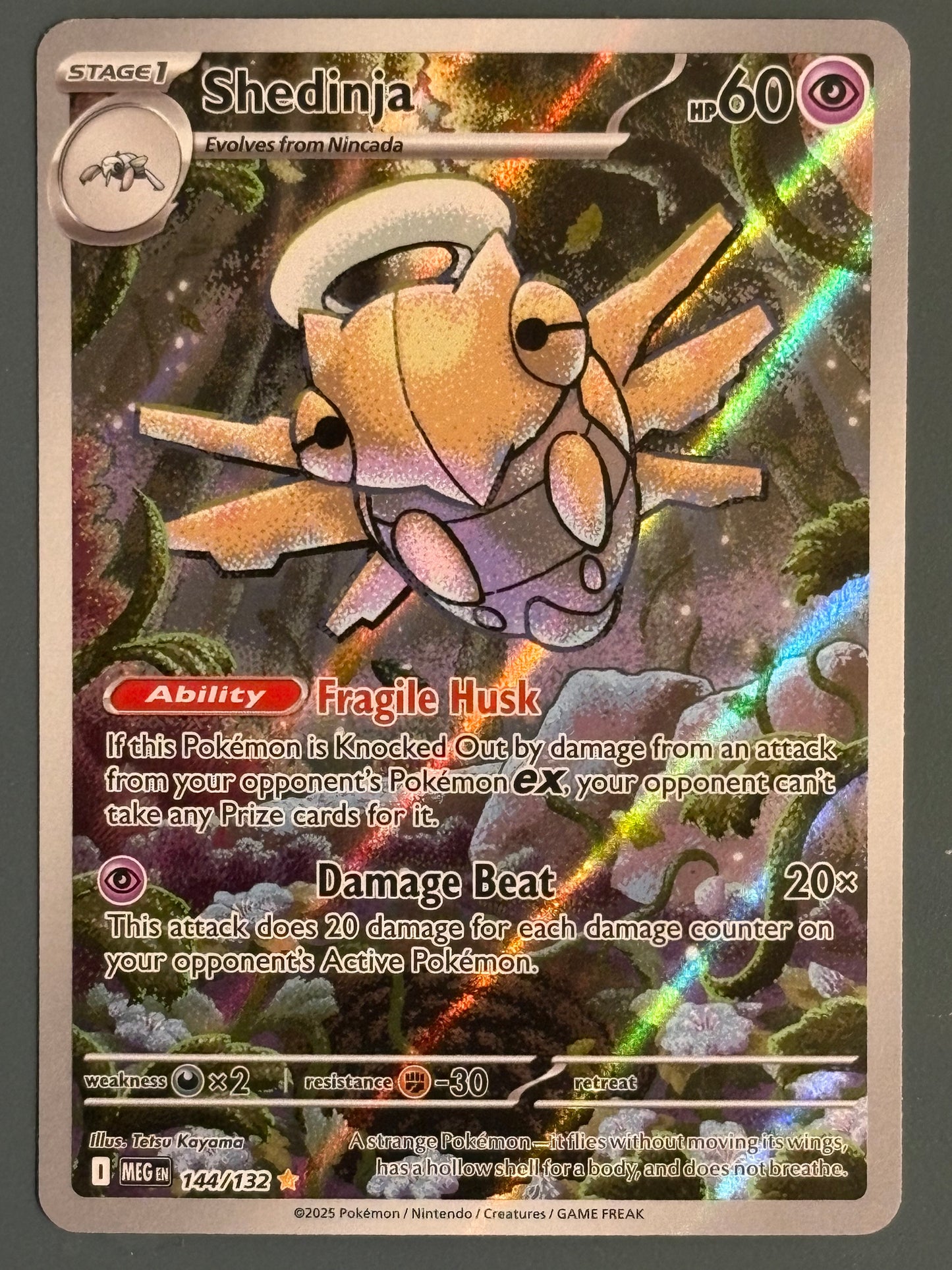 Shedinja 144 - MEG - ENG